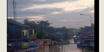 ‎Warga Tanjung Pura Terisolasi Tanpa Bantuan, Terancam Mati Kelaparan.
