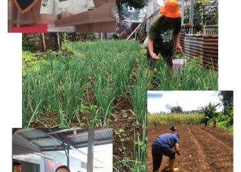 Lapas Tondano Optimalkan Asimilasi WBP, Dorong Kemandirian dan Ketahanan Pangan Nasional