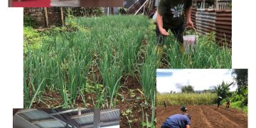 Lapas Tondano Optimalkan Asimilasi WBP, Dorong Kemandirian dan Ketahanan Pangan Nasional